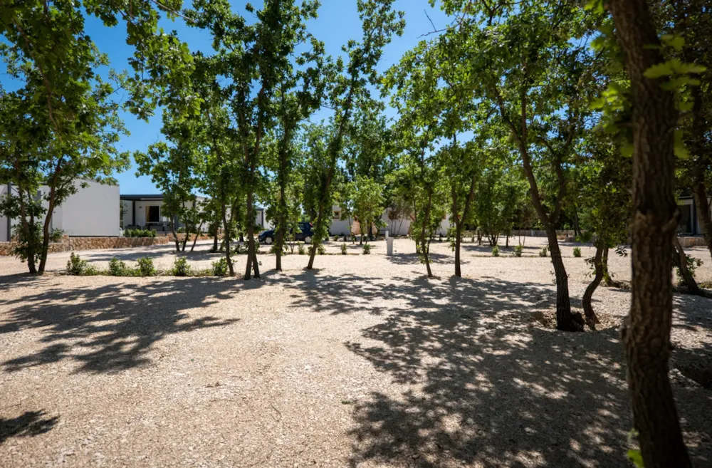 Pitch - Pitch - Dionis Zaton Camping