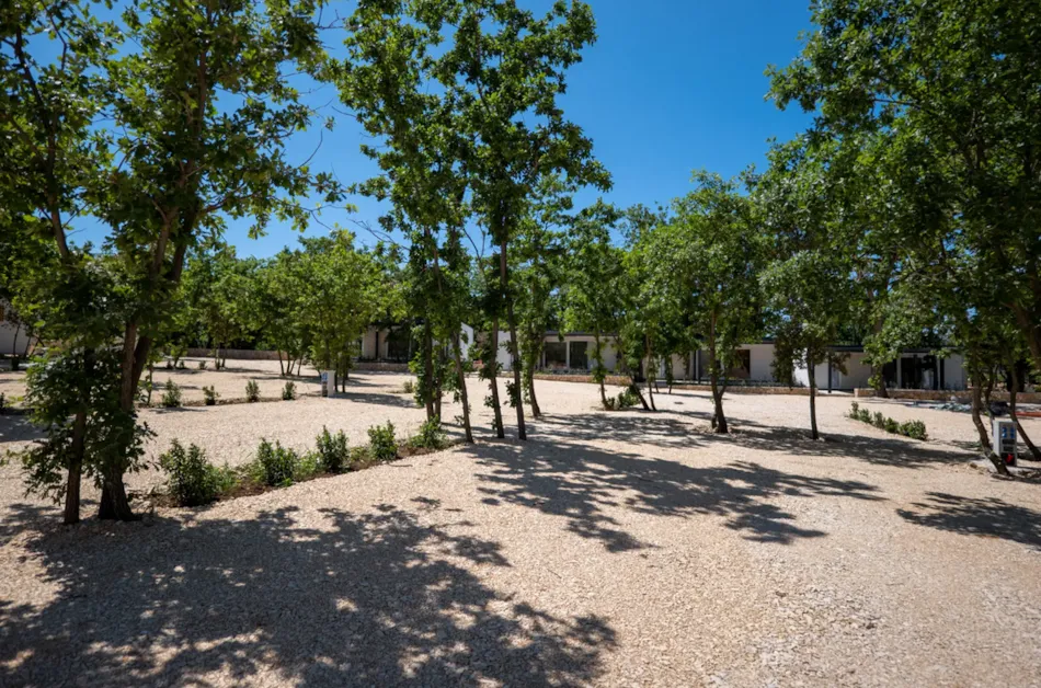 Dionis Zaton Camping