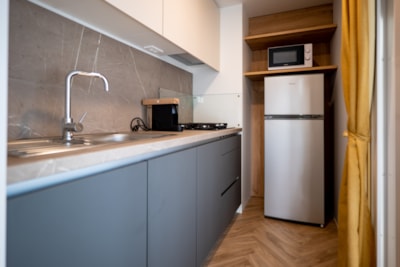 Mobile home Standard