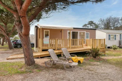 Cottage **** - 2 Camere - 27M² - Adatto Alle Persone Diversamente Abili -