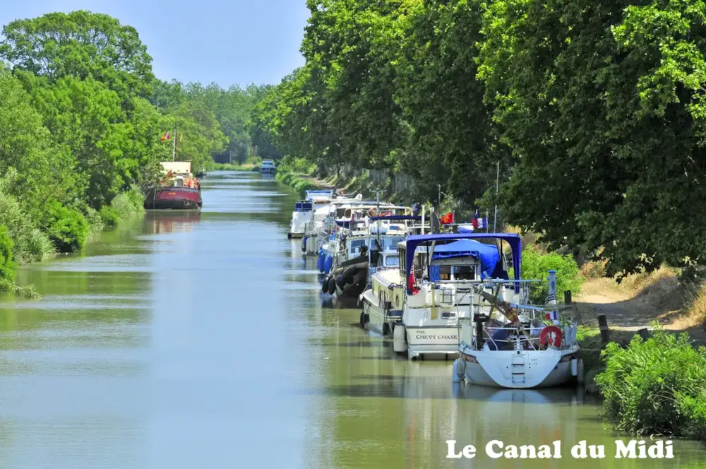 Clico Chic - Camping le Paradou