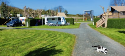 ACSI Package  (Acsi Member Only) 2 People, Shower and electricity included