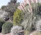 Foto #8 van Camping Port Meleu