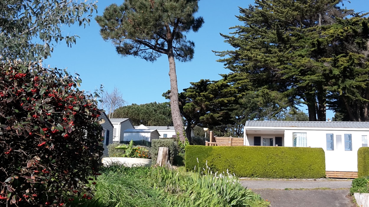Camping Port Meleu