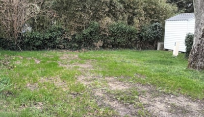 Pitch — 2