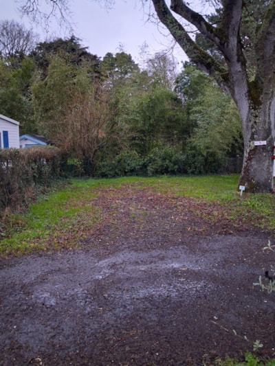 Pitch — 3