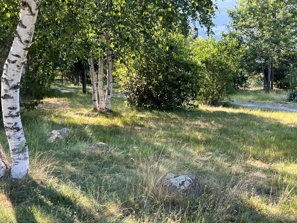 Stellplatz - Stellplatz - Camping De La Lyre