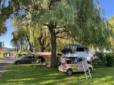 Pitch 100m² + 10A (Tent, Bike, Motorcycle, caravan, Van, motor home)