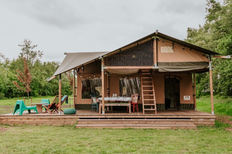 Safaritent Jungle - 41m²