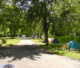 Pitch: Vehicle + Tent or Vehicle + Caravan - with electricity -