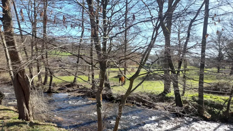 Baroudeur Sur Pilotis -