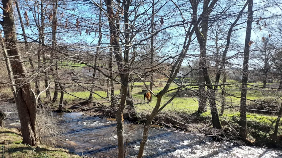 Camping de l'Eau Mère