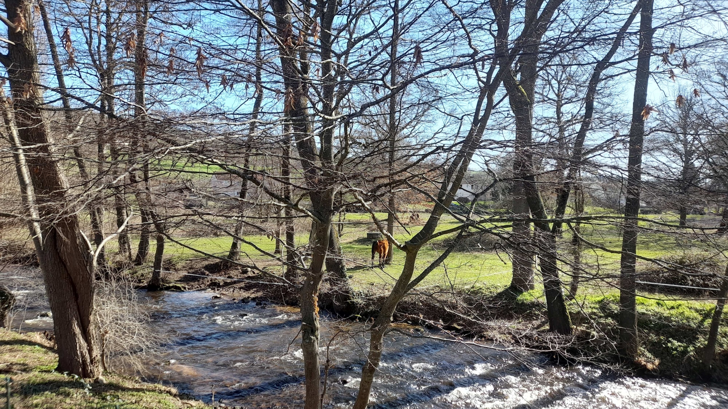 Camping de l'Eau Mère — Photo 6