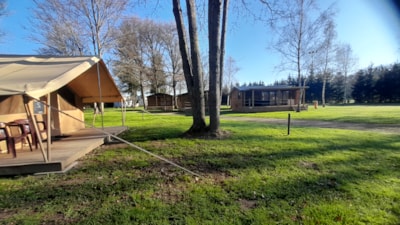 Lodge tent 25m² - 2 bedrooms - 10m² Terrace - no bathroom -