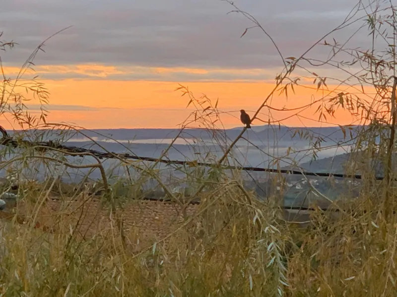 Emplacement Mobilite Douce - Randonneur, Cycliste, Cavalier En Duo - Sans Véhicule