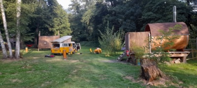 Pitch: Motorhome - with electricity -
