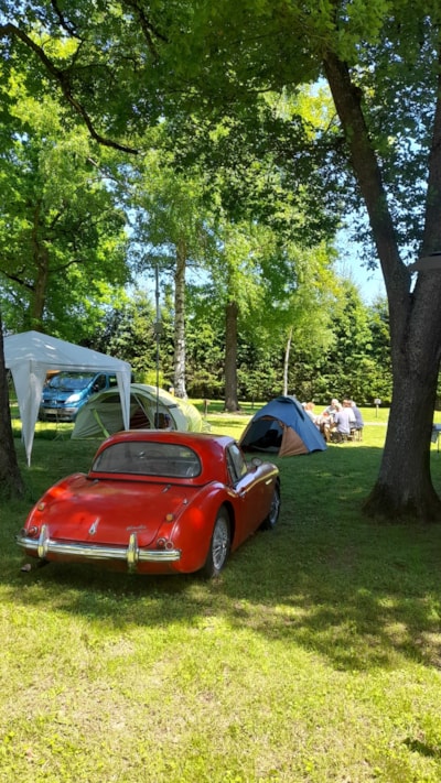 Pitch: Vehicle + Tent or Vehicle + Caravan - with electricity -