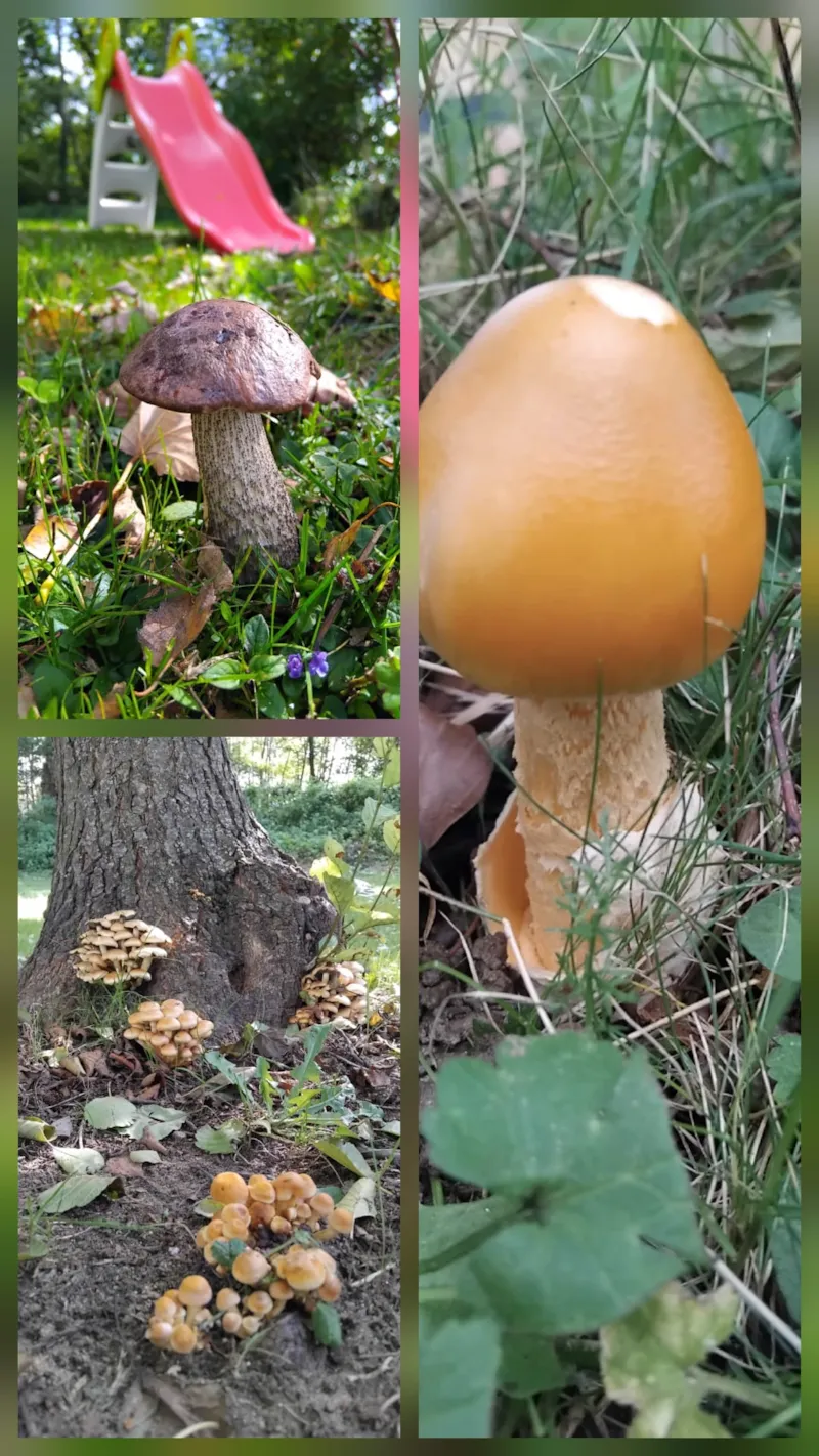 Emplacement Mobilite Douce - Randonneur, Cycliste, Cavalier En Duo - Sans Véhicule