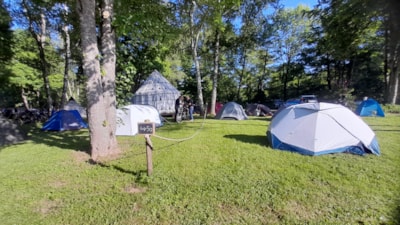 Pitch: Vehicle + Tent or Vehicle + Caravan - with electricity -