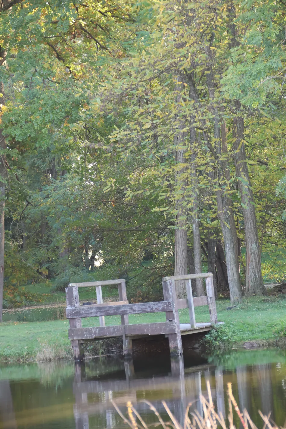 Camping de l'Eau Mère