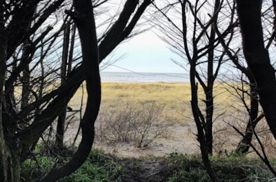 Travelling by foot, 2 wheels -