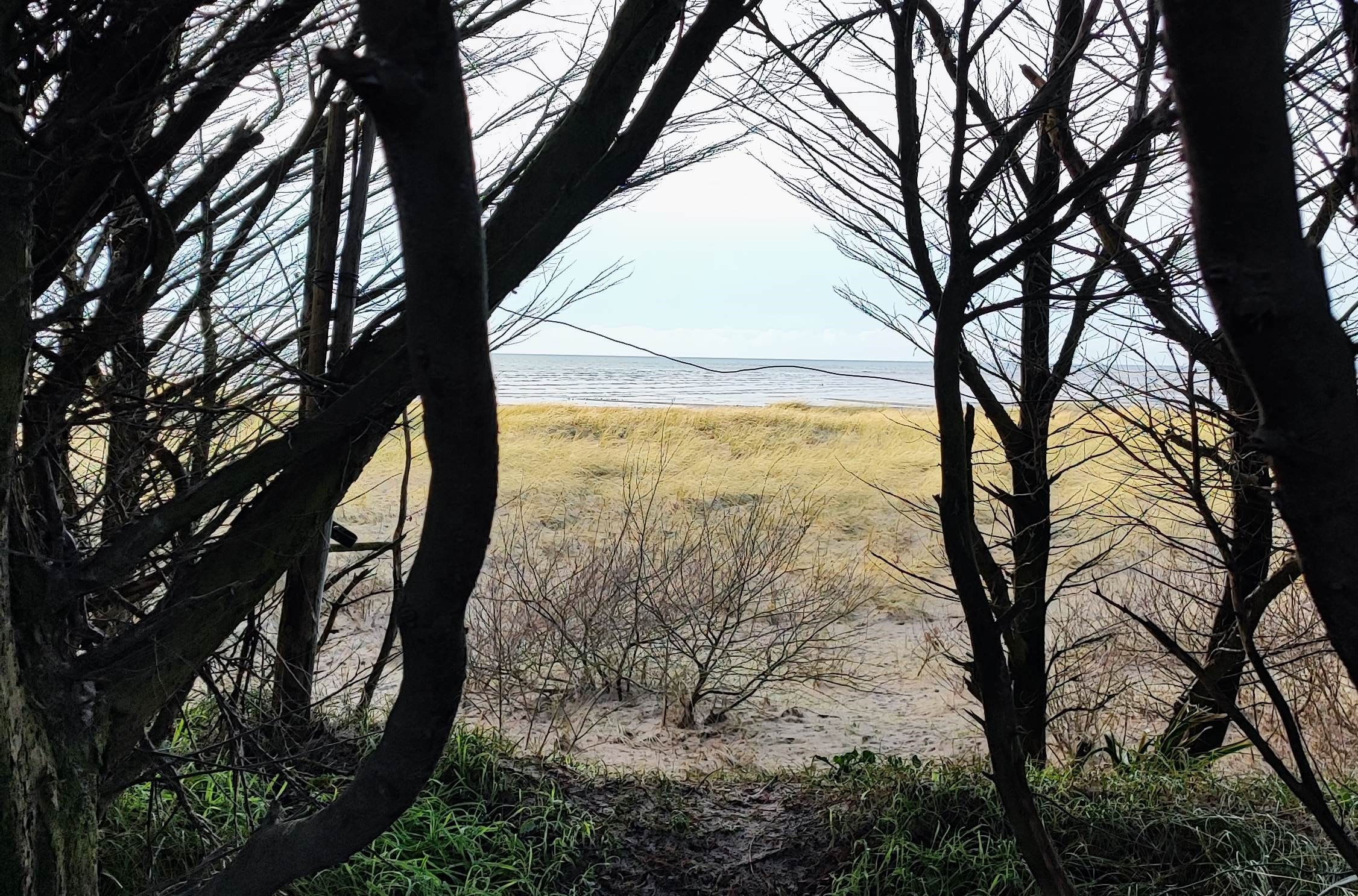 VVF Camping Les Dunes — Foto 7