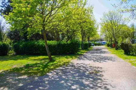 Kampeerplaats(en) - Wandelaar Per Voet, 2 Wielen + Electriciteit - VVF Camping de la Fontaine