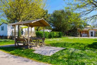 Pitch package for 1 person (tent, car, caravan or motor home) + electricity