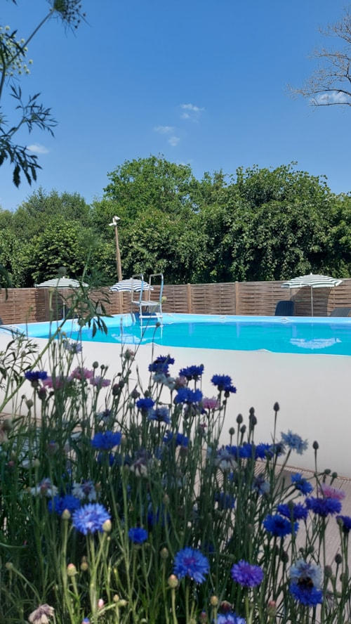 Foto #1 van Camping Du Grand Pré