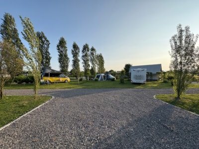 COMFORT pitch, 60m2