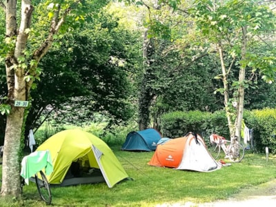 Pitch + 1 car + tent