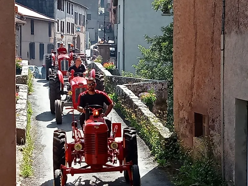 Camping Vert Lavande