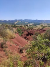 Camping Vert Lavande