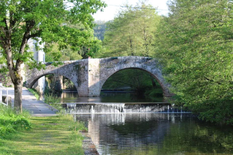 Camping Vert Lavande