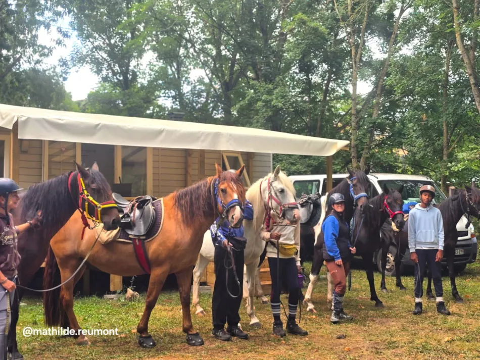 Camping Vert Lavande