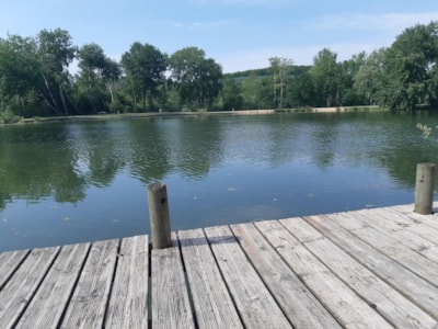 Mobilhome Carp