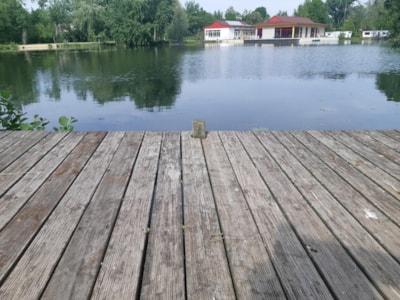 Maldive Gardon