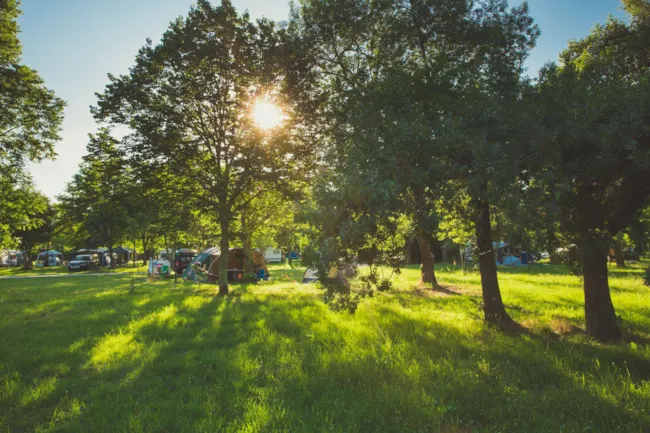 Camping de PEYROCHE - image n°4 - Camping Direct
