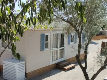 Accommodation - Mobile Home 24 - Zielo Mobil Home