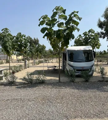 Pitch - Pitch Plata +95M² - Camping Peñíscola 