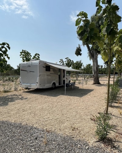 Pitch Oro +120m² — 3