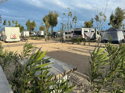 Camping Peñíscola 