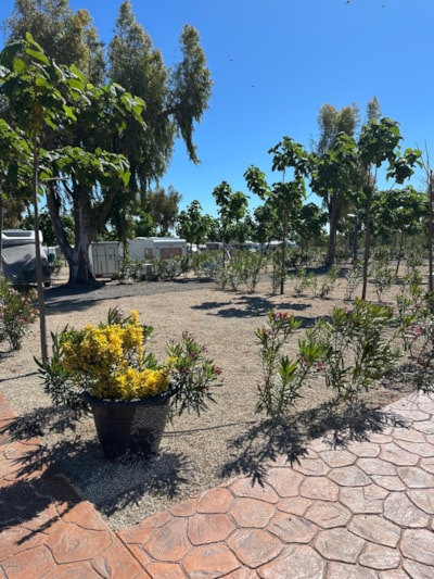Pitch Plata +95m²