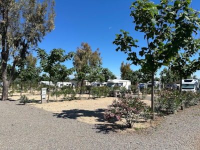 Pitch Plata +95m²