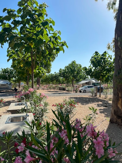 Pitch Plata +95m²