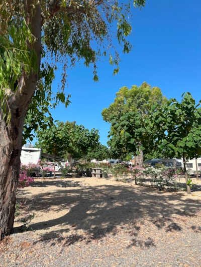 Pitch Plata +95m²