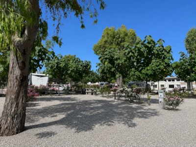 Pitch Oro +120m²