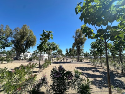 Pitch Oro +120m²