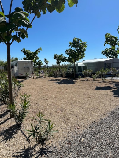 Pitch Oro +120m²