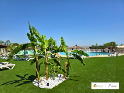 Camping Peñíscola 